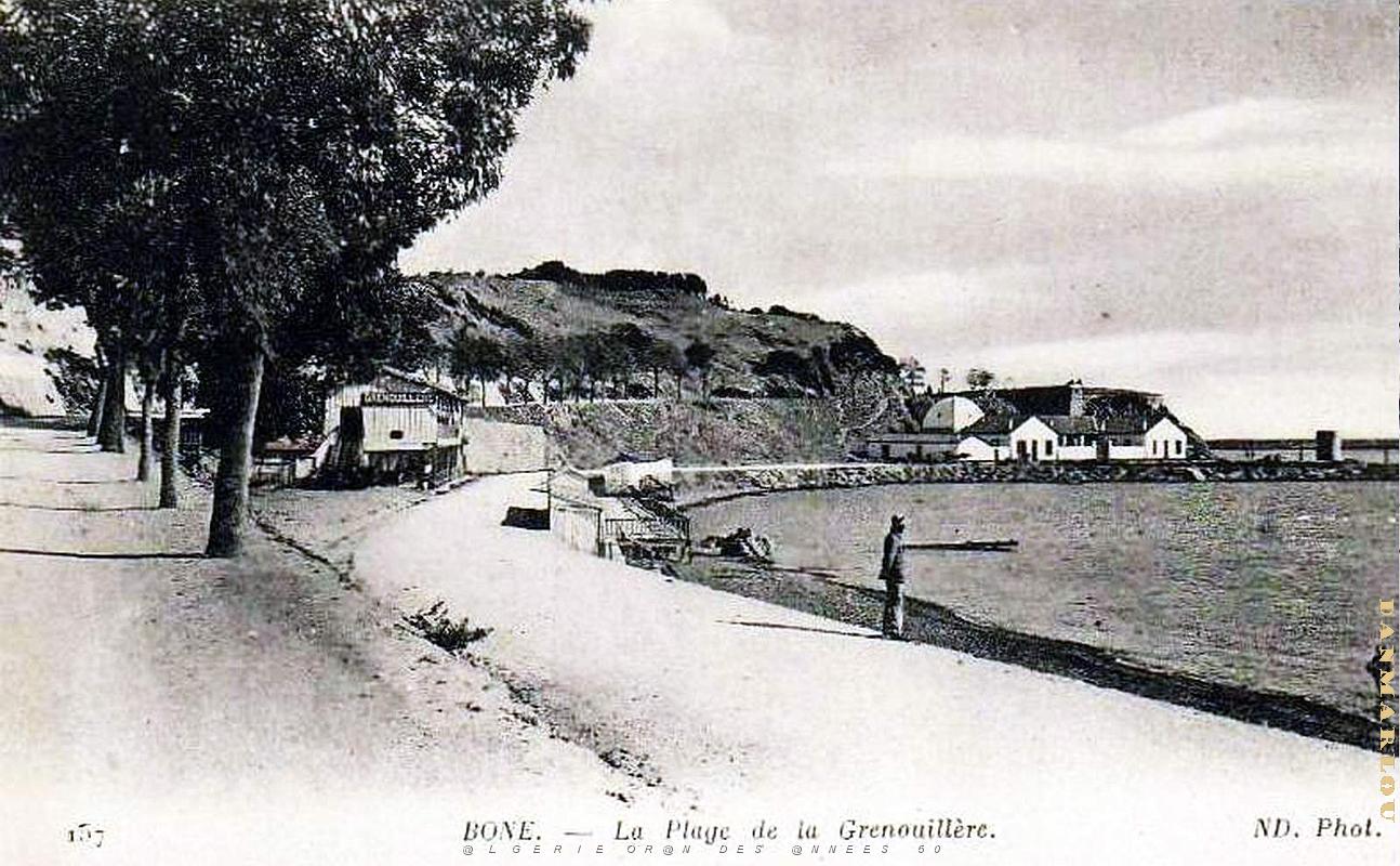 Bone - Plage de la Grenouillere .jpg